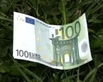 Murschel (Grne) zu EU-Agrarsubventionen: Geld fliet an falsche Empfnger