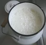 Milcherzeugung 