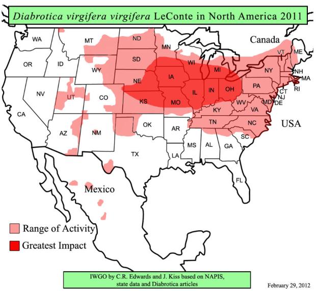Diabrotica Verbreitung Nordamerika 2011