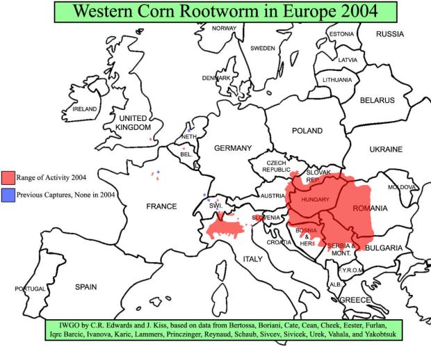 Diabrotica Verbreitung Europa 2004