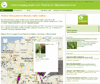 Screenshot www.diabrotica.de