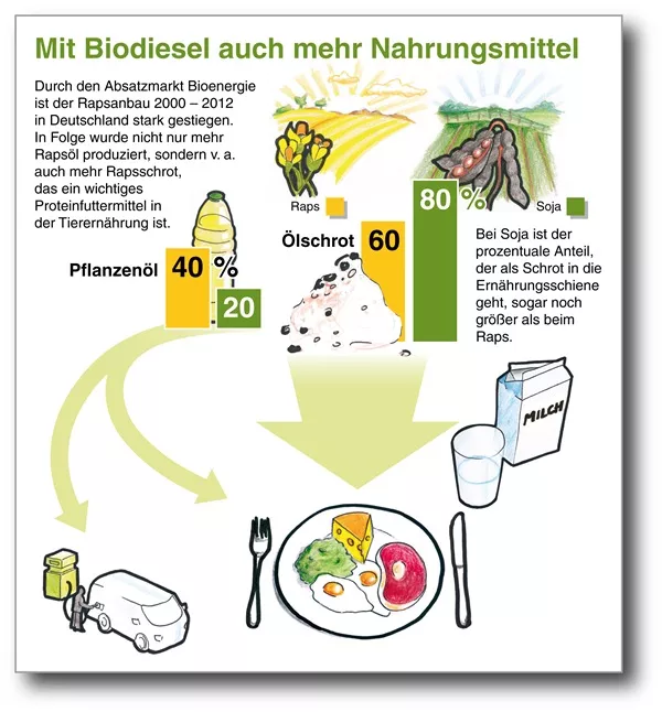 Biodiesel Nahrungsmittel