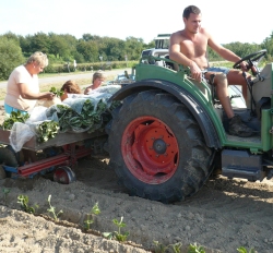 Arbeitskräfte in der Landwirtschaft