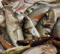 Fischverkauf mit unzureichender Kennzeichnung