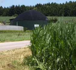 Agrarbetrieb mit Biogasanlage