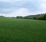Getreideanbau 2014