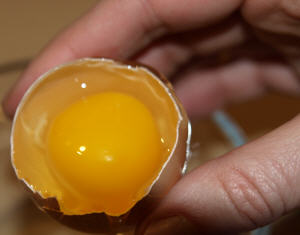 Schadstoffbelastetes Ei?