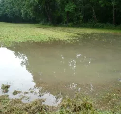 Hochwasserhilfe