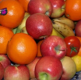 Fruit Logistica 2009