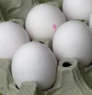 Dioxinbelastete Eier