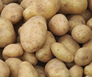Kartoffelverarbeiter
