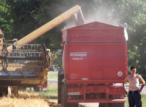 Getreideernte Niedersachsen