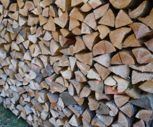 Brennholz in Thüringen