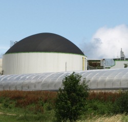 Biogasbranche 2016