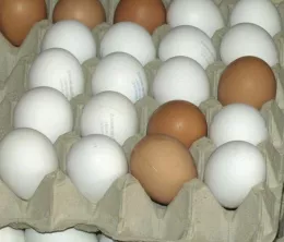 Die Herkunft von Eiern suchen
