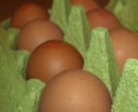 Kennzeichnung von Eiern