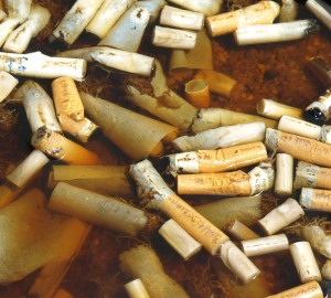 Zigarettenstummel gegen Zecken