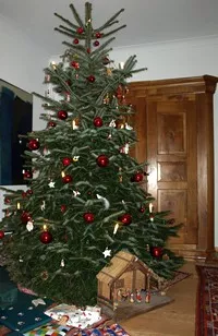 Bio-Weihnachtsbaum