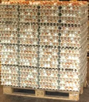 Eierproduktion in Niedersachsen
