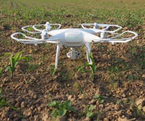 Drohnen in der Landwirtschaft