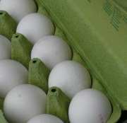 Eier mit Salmonellen belastet