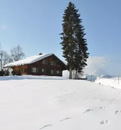 Spielen im Schnee