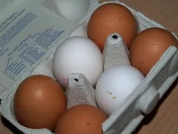Braune und weie Eier
