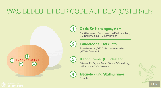 Code auf dem Ei