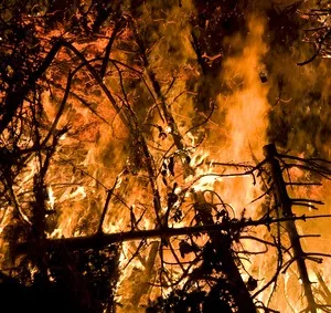 Waldbrand Gefahrenstufen