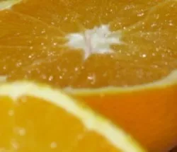 Anbau Orangen