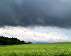 Bauern froh über Regen im Mai