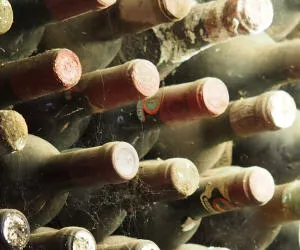 Weinproduktion in Frankreich