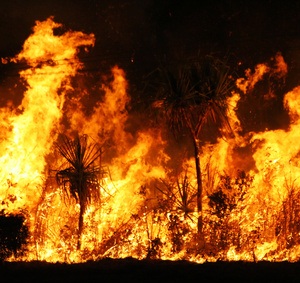 Waldbrand im Amazonas