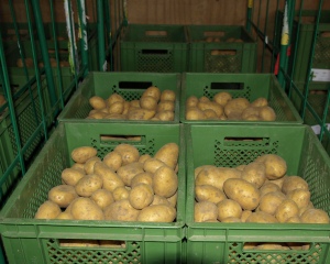 Kartoffeleinkauf