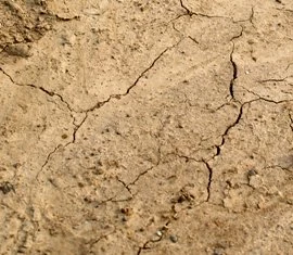 Erosionsgefhrdeter Boden