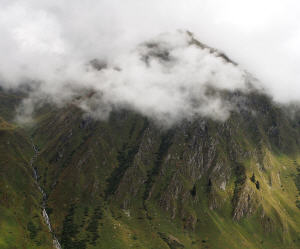 Artenvielfalt und Klimawandel in den Alpen