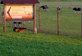 Strauenfleisch in Deutschland