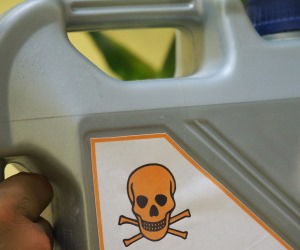 Verbot Neonikotinoide in Frankreich