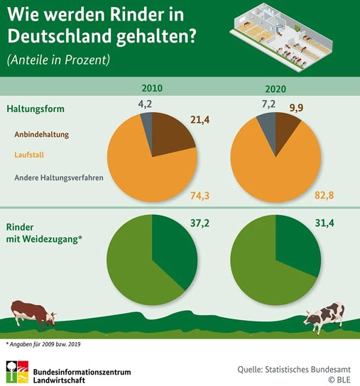 Rinderhaltung Infografik