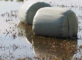 Hochwasserschäden Landwirtschaft