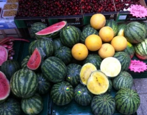 Warenkunde von Melonen