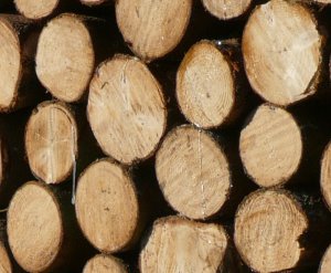 Holzvermarktung