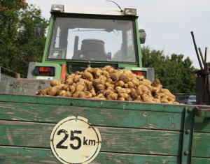 Kartoffelanbau 2021 NRW