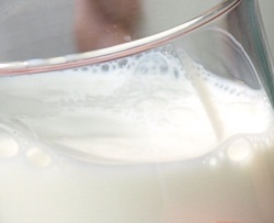 Milchwirtschaft NRW 2021