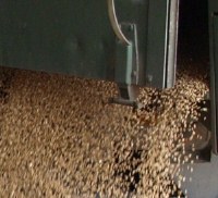 Weizenpreise 2022 - KW 10