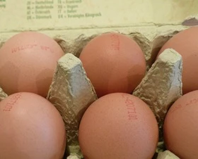 Eierproduktion in Thringen 2016