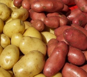 Lage am Kartoffelmarkt