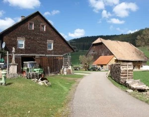 Viele Landwirte in Rheinland-Pfalz geben auf
