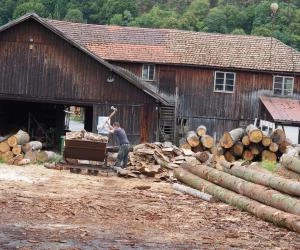 Holzindustrie Umsatz 2019