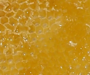 Verunreinigter Honig
